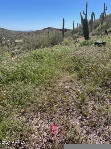 780