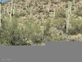 780