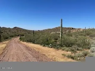 780