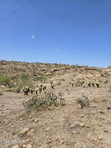 780