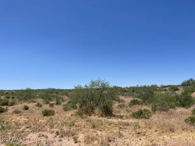 780