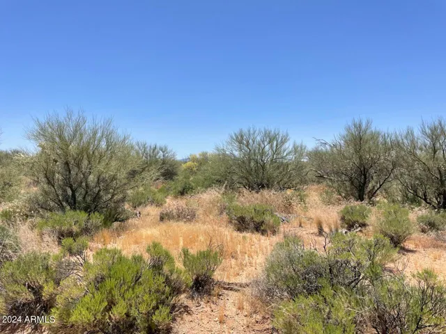 780