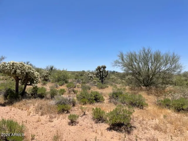 780