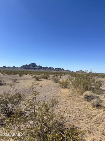 780
