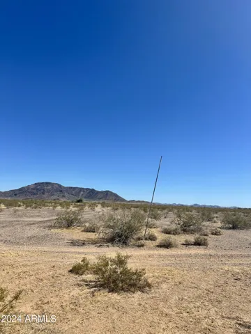 780