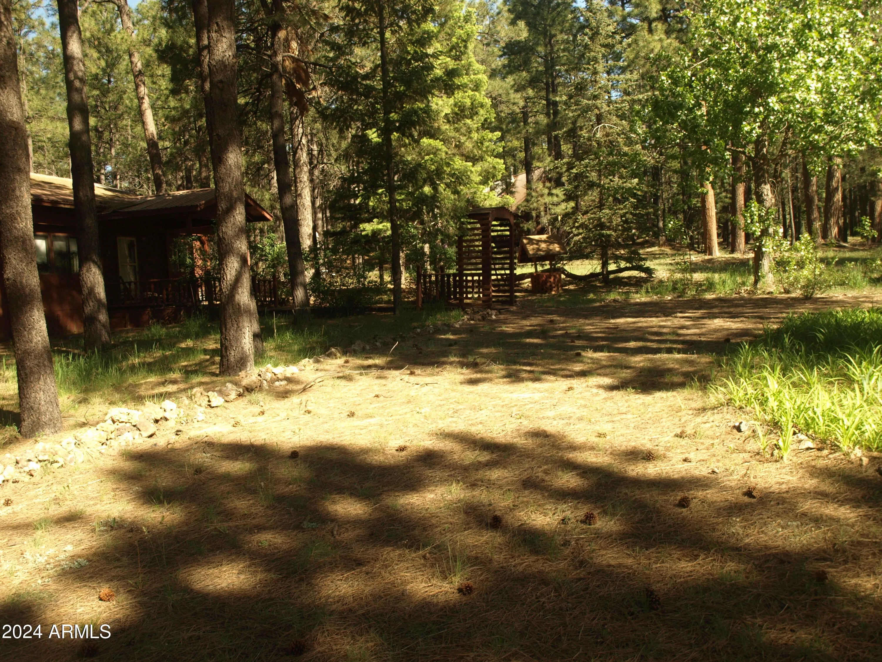 2447 Wildflower Lane, Forest Lakes, AZ, 85931 — photo 2 of 10