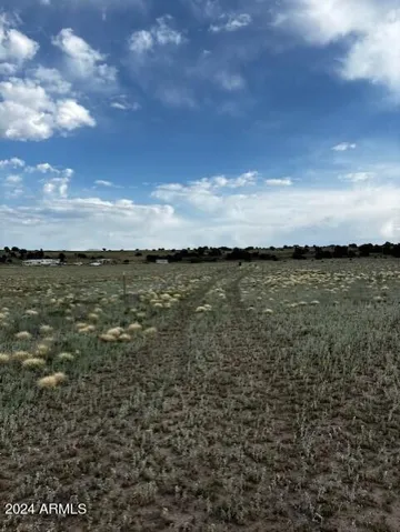 780