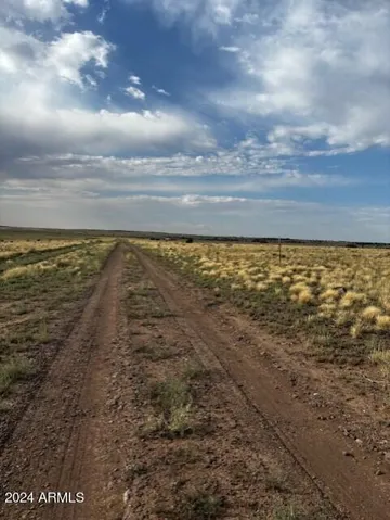 780