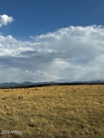 780