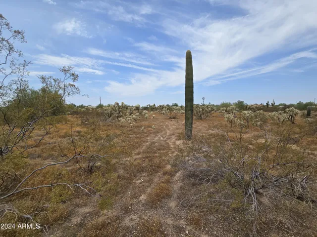 780