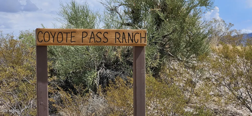 780