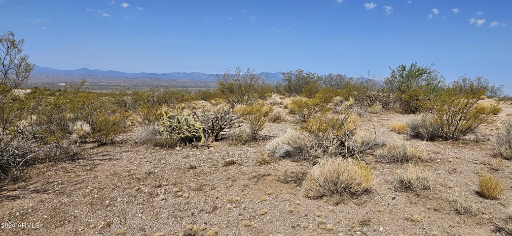 780