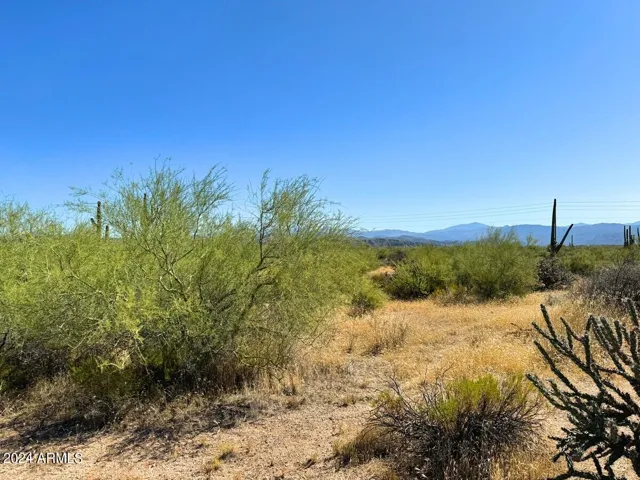 780