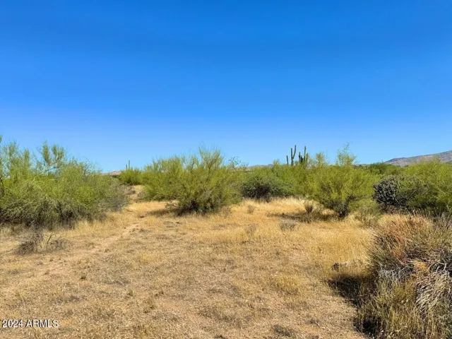 780