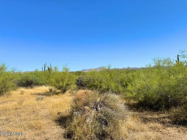 780