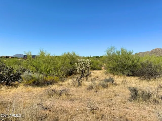780