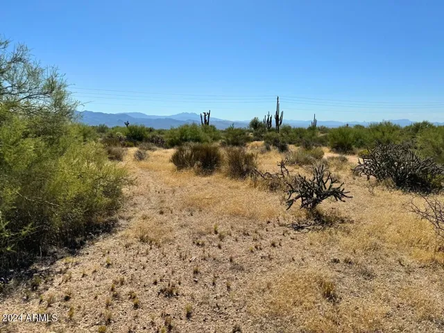 780
