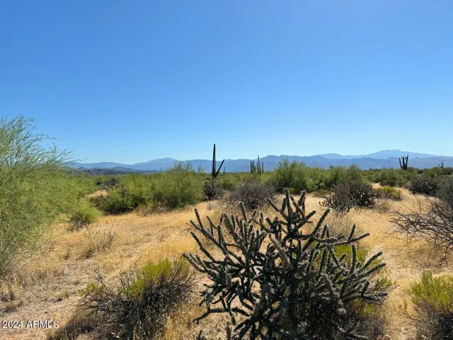 780