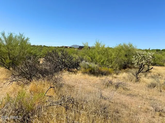 780