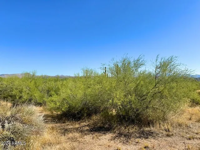 780