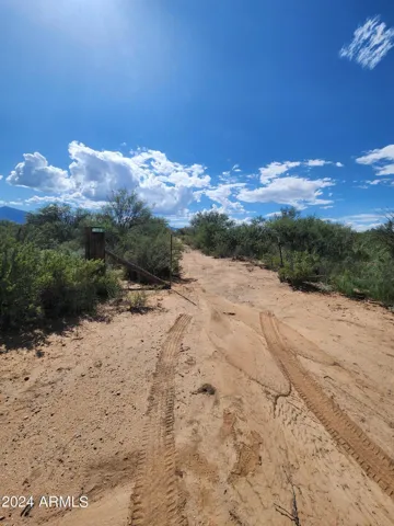 780