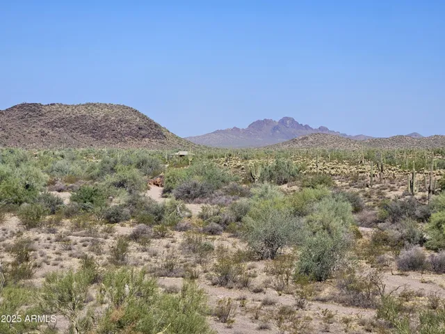780