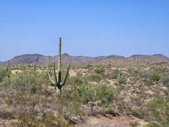 780