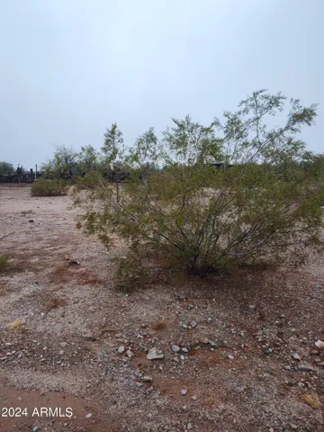 780