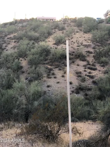 780