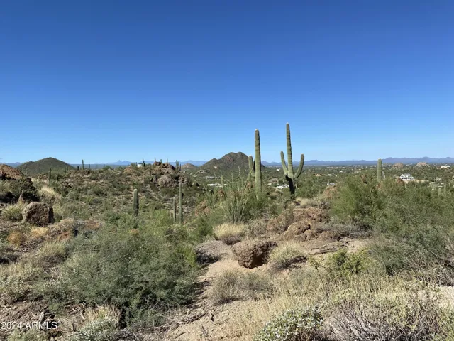 780
