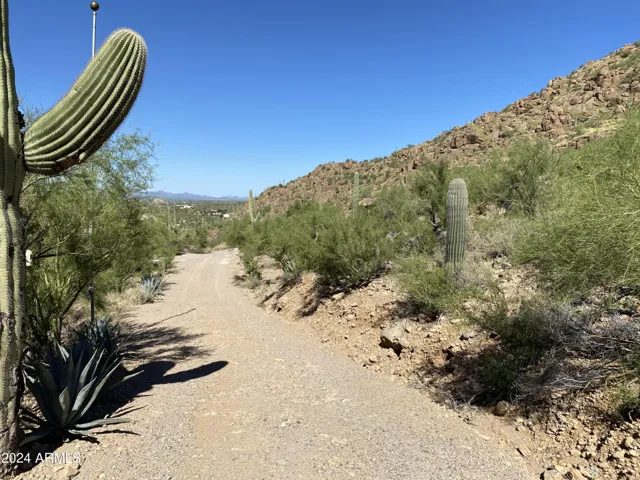 780