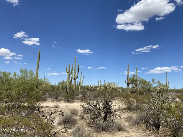 780