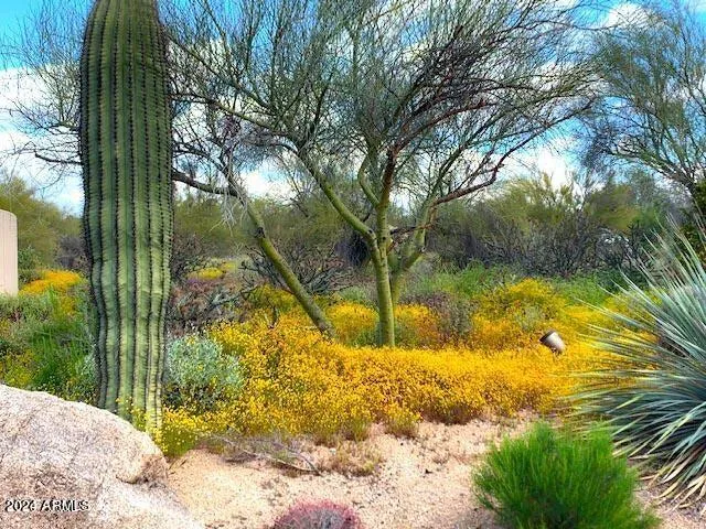780