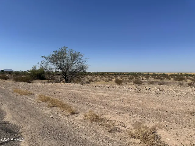 780