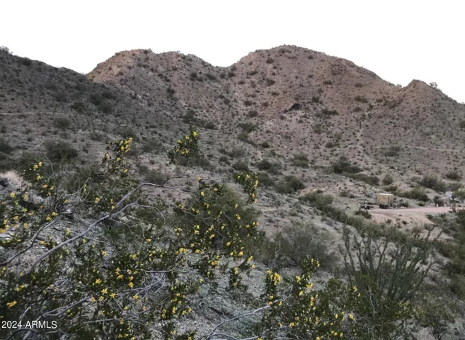 780