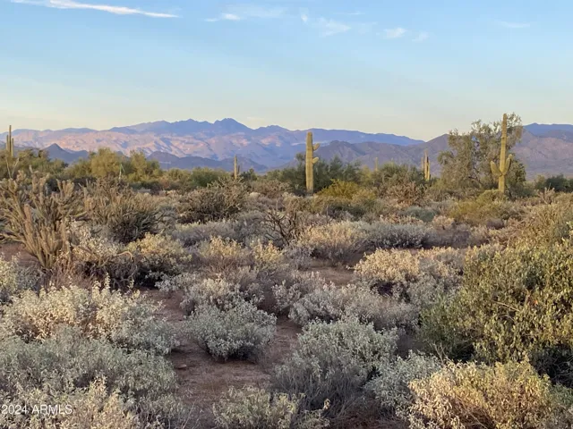 780