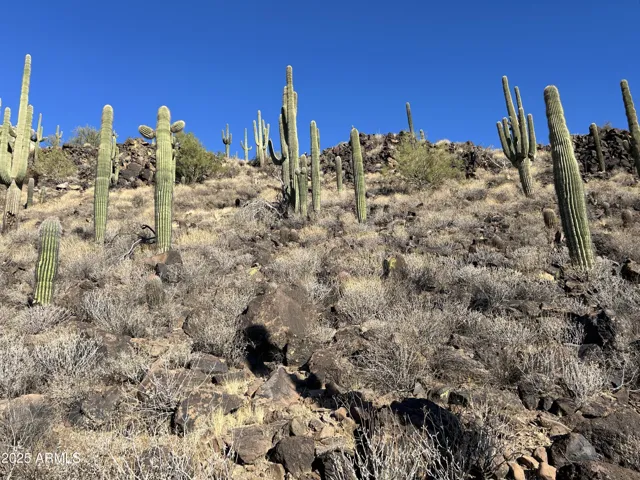 780