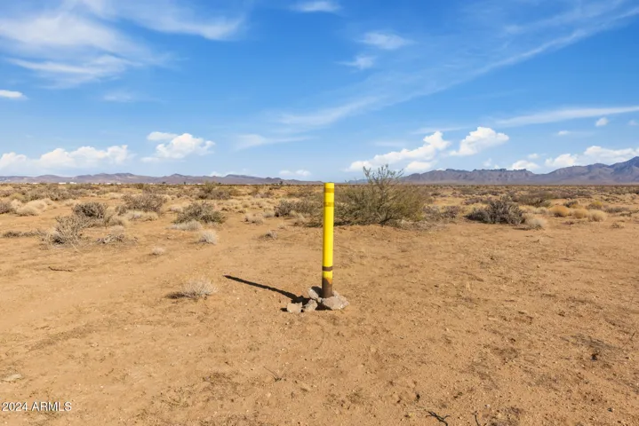 780