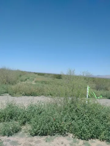 780