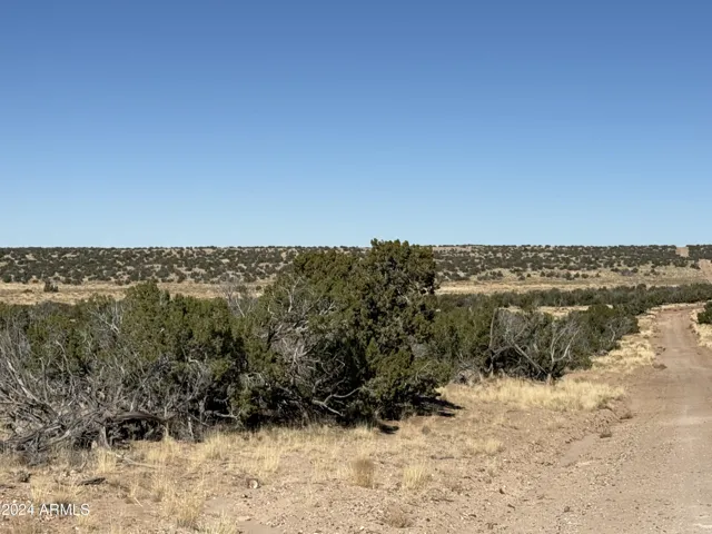780