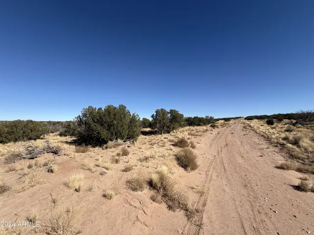 780