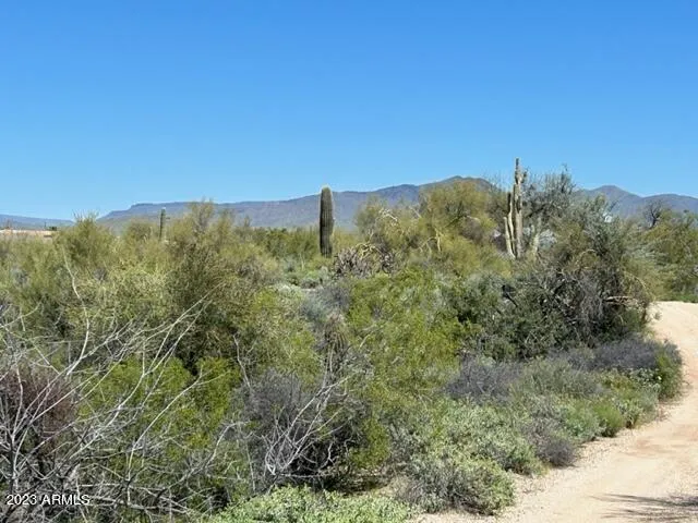 780