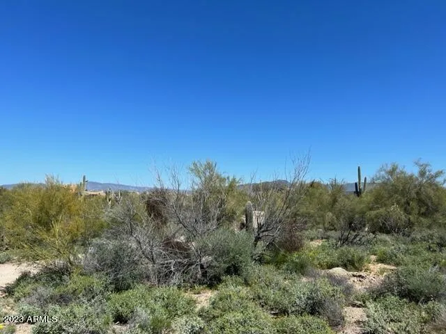 780