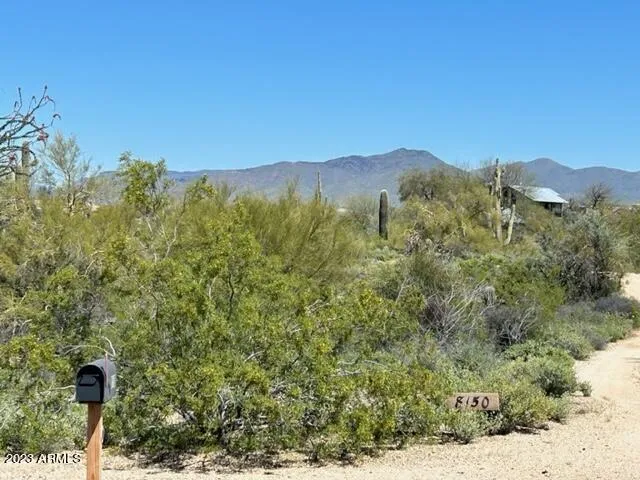780
