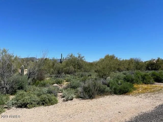 780