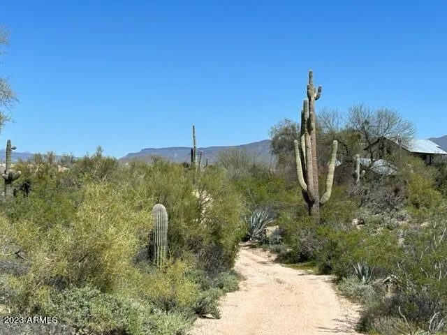 780