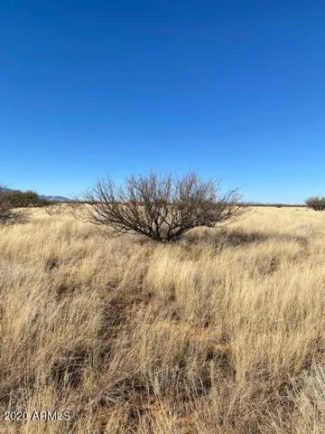 780