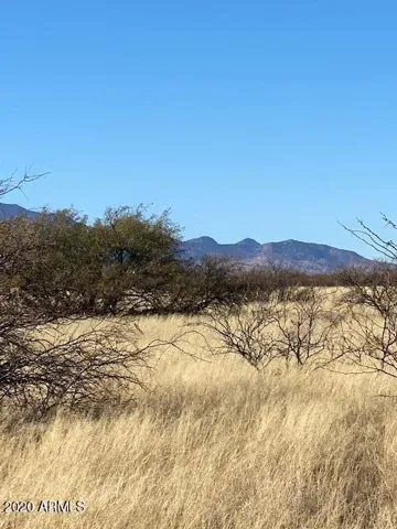 780