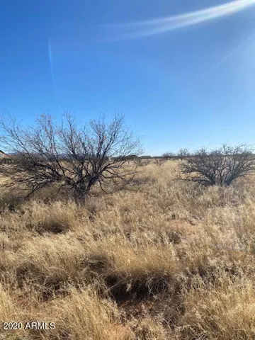 780