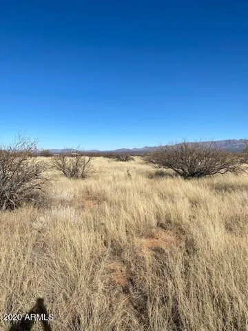 780